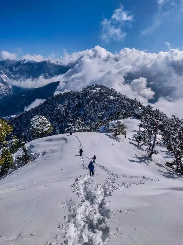 Manali tour packages