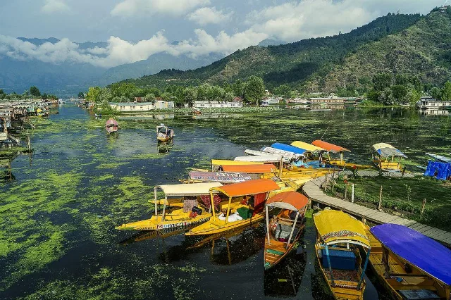 Srinagar Tour Packages – Tour photo